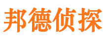 山城市调查公司